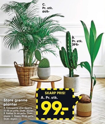 Bilka Store grønne planter tilbud