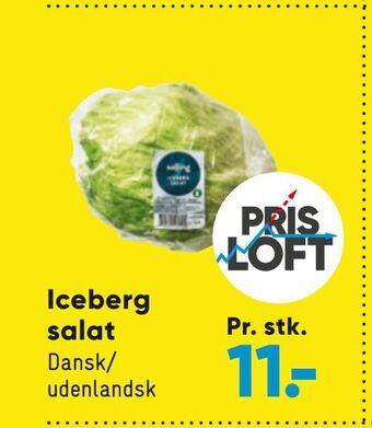 Bilka Iceberg salat tilbud