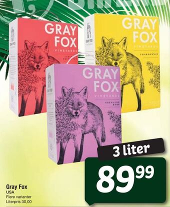 Gray Fox