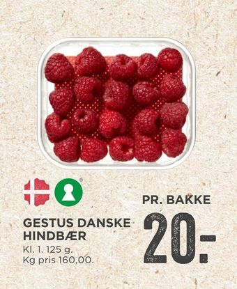 MENY Gestus danske hindbær tilbud