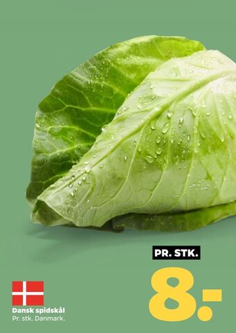 Netto Dansk spidskål tilbud