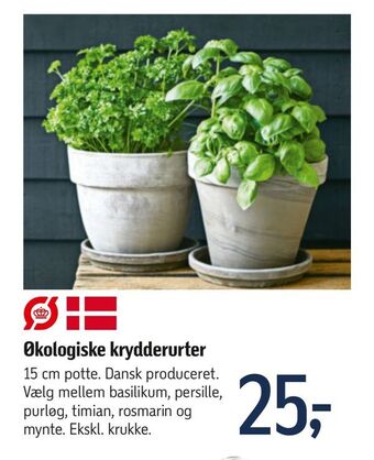 Føtex Økologiske krydderurter tilbud