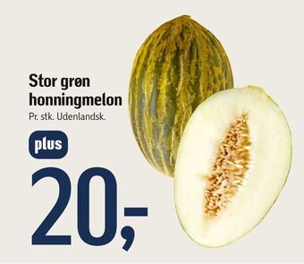 Føtex Stor grøn honningmelon tilbud