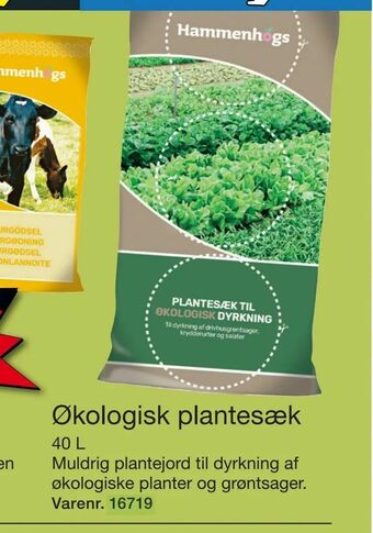 Harald Nyborg Økologisk plantesæk tilbud