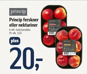 Princip ferskner