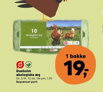 SuperBrugsen Dueholm æg tilbud