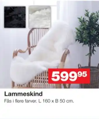 Bauhaus Ukendt lammeskind tilbud
