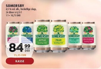 Scandinavian Park SOmersby tilbud