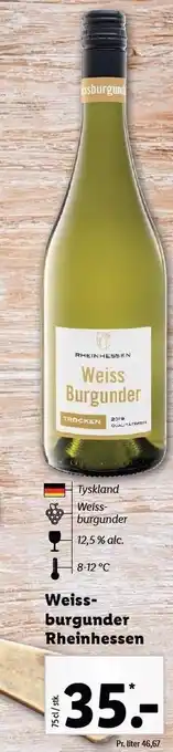 Weiss burgunder Rheinhessen