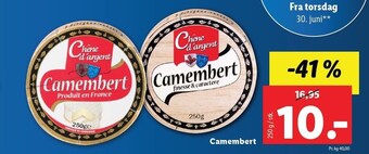 Lidl Camembert tilbud