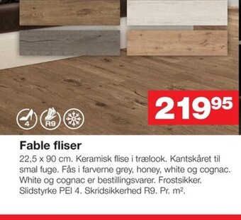 Fable fliser