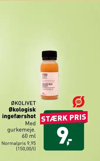 Økologisk ingefærshot