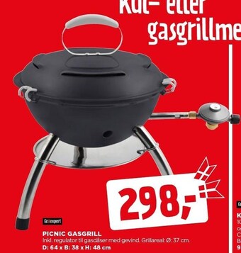 Picnic gasgrill