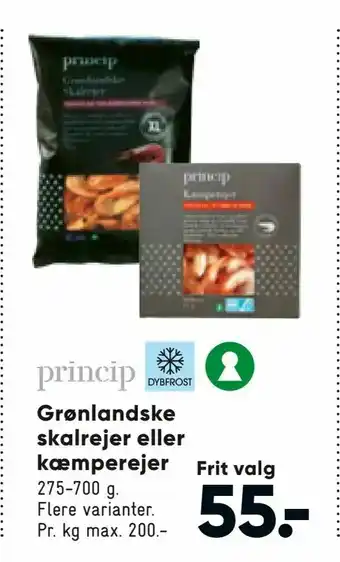 Bilka Grønlandske skalrejer eller kæmperejer tilbud