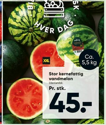 Bilka Stor kernefattig vandmelon tilbud