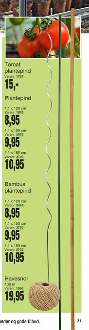 Harald Nyborg Tomat plantepind tilbud
