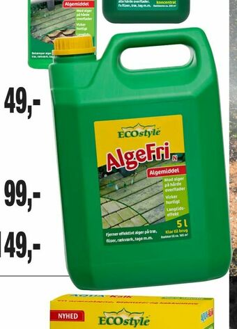 Harald Nyborg AlgeFri tilbud