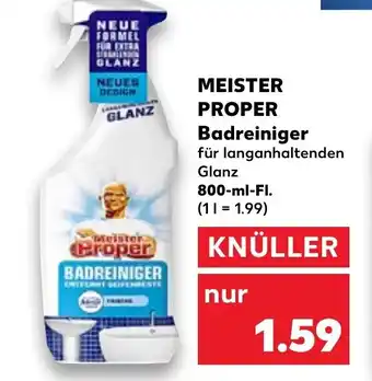 MEISTER PROPER badreiniger