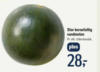 Føtex Stor kernefattig vandmelon tilbud