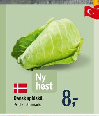 Føtex Dansk spidskål tilbud