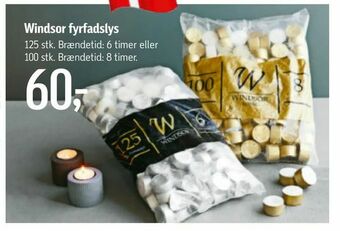 Føtex Windsor fyrfadslys tilbud