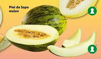 Piel de Sapo melon