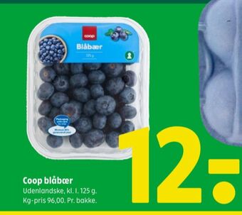 Coop blåbær