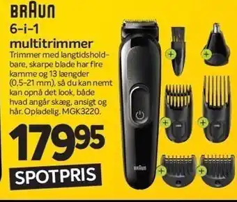 6-I-1 multitrimmer