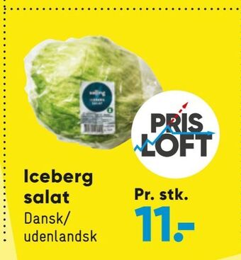 Bilka Iceberg salat tilbud