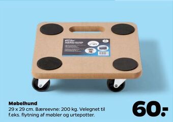 Møbelhund