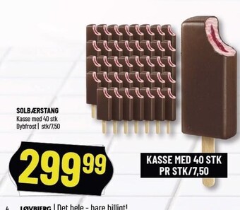 Løvbjerg Solbærstang tilbud