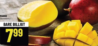 Løvbjerg Mango tilbud