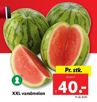 Lidl XXL vandmelon tilbud