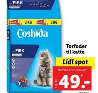 Tørfoder til katte