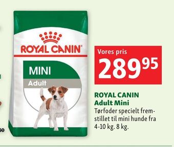 Maxi Zoo ROYAL CANIN Adult Mini tilbud