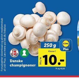 Danske champignoner
