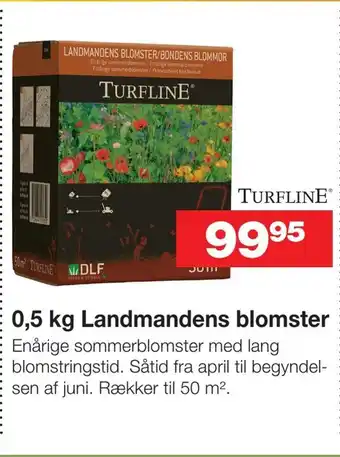 Bauhaus 0,5 kg Landmandens blomster tilbud