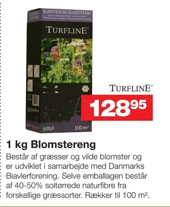 1 kg Blomstereng