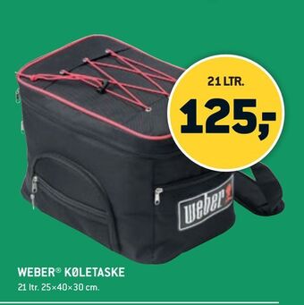Weber® køletaske