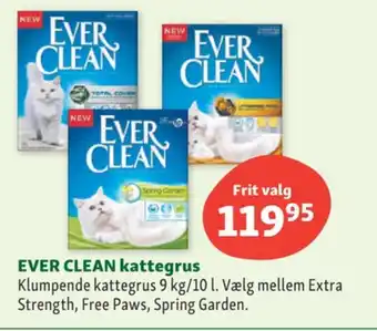 Maxi Zoo Everclean kattegrus tilbud