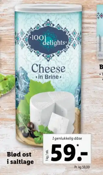 Lidl 1001 delights salatost tilbud