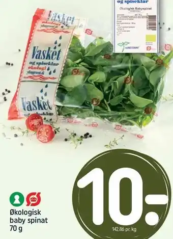 REMA 1000 Øko baby spinat tilbud