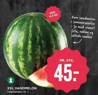 MENY XXL Vandmelon tilbud