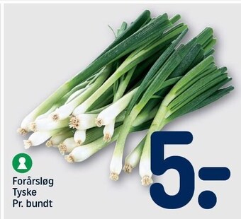 Forårsløg