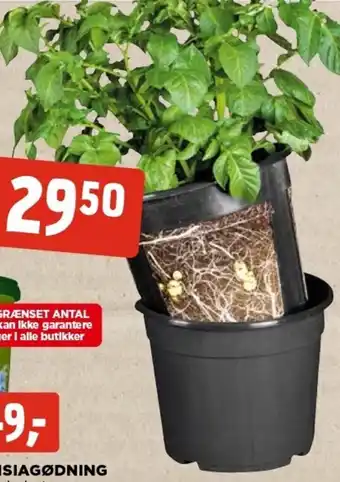 jem & fix Kartoffelpotte Sæt med inder tilbud
