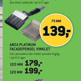XL-BYG Anza platinum facadepensel vinklet tilbud