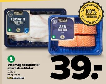 Netto Velsmag rødspættefilet tilbud