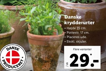 Lidl Danske Krydderurter tilbud