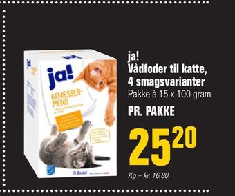 Poetzsch Padborg ja! Vådfoder til katte, 4 smagsvarianter tilbud