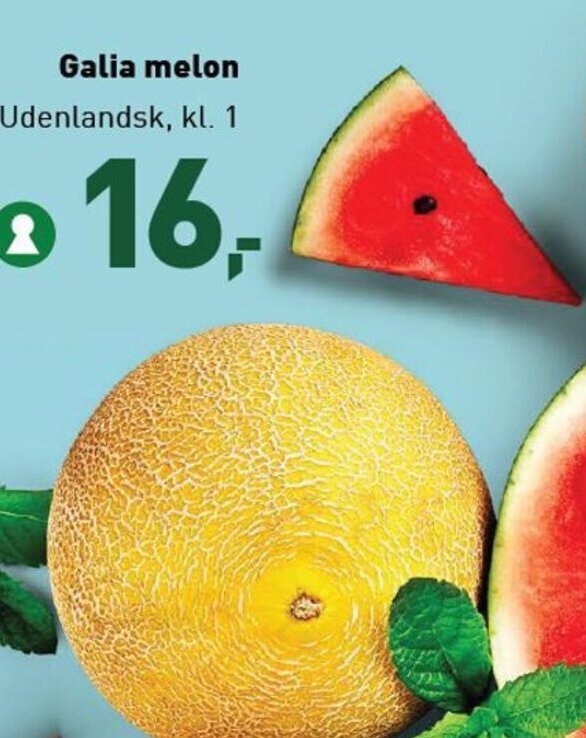 Galia Melon tilbud hos ALDI